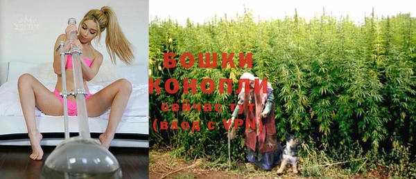 PSILOCYBIN Богородск