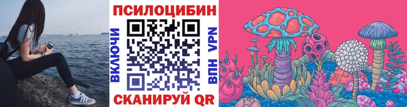 цены наркотик  Коркино  Псилоцибиновые грибы Psilocybine cubensis 